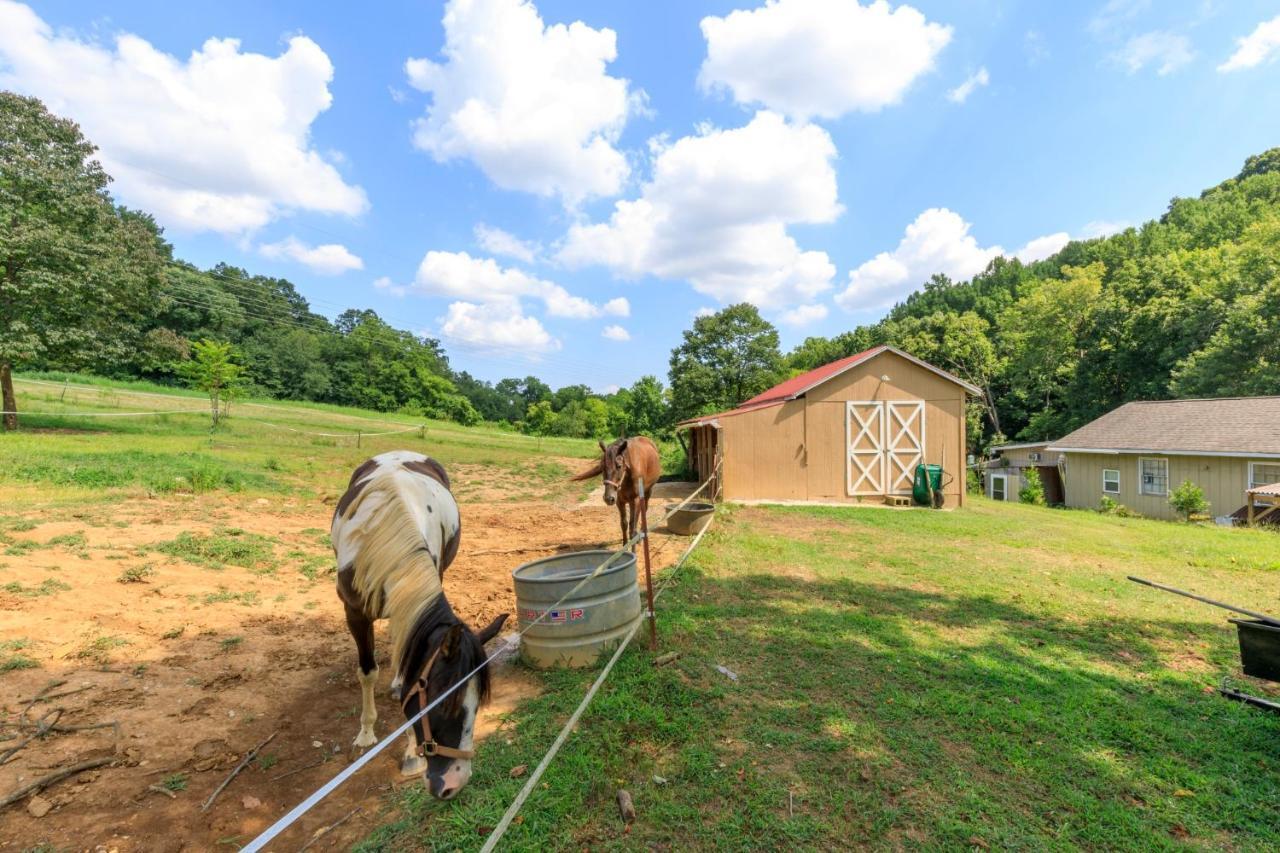 Executive 4Bdr Country Getaway-Bachelor Villa Nashville Exterior foto